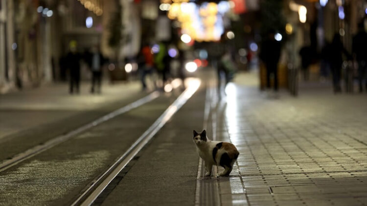 Emniyet müdürü, sokağa çıkma yasağında uyuşturucu baronuna böyle yardım etmiş