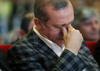 BM Güvenlik Konseyi’nden Erdoğan’a kınama