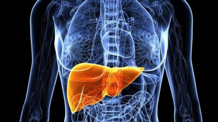 Bu belirtilere dikkat: Karaciğer yağlanması yaşıyor olabilirsiniz