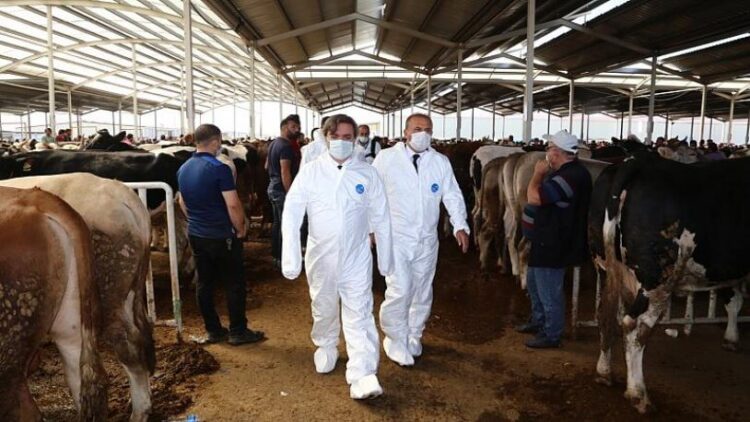 Açıklama geldi: Kurban Bayramı’nda kısıtlama uygulanacak mı?