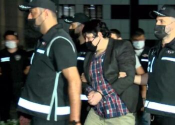 ‘Tosuncuk’ Mehmet Aydın’ın bodrum katında başlayan 3 yıllık serüveni