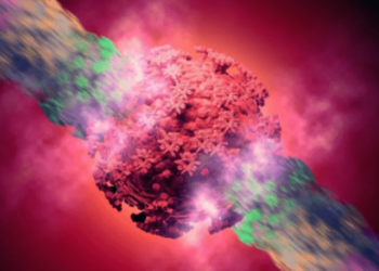 Koronavirüste tehlike yaratan Lambda varyantı 26 ülkeye yayıldı