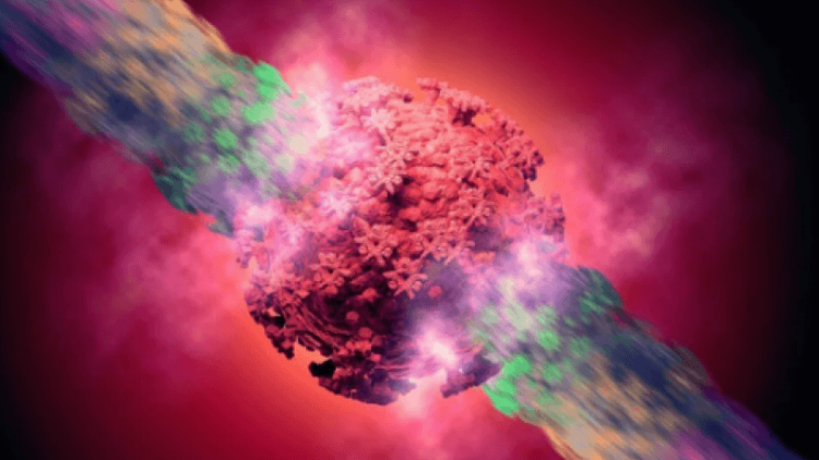 Koronavirüste tehlike yaratan Lambda varyantı 26 ülkeye yayıldı