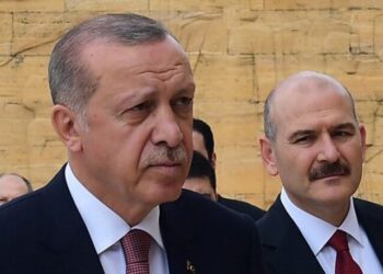 Soylu’nun mesajında ‘Erdoğan’ vurgusu: Reisimiz de böyle ister…