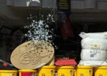 MHP’de silahlar konuştu: Başkanı şikayet eden meclis üyesine saldırı