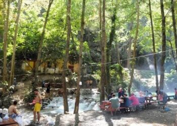 Valilik açıkladı: Ormanlarda piknik ve mangal yasağı