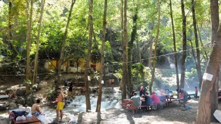 Valilik açıkladı: Ormanlarda piknik ve mangal yasağı