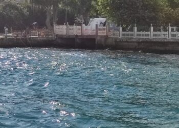Bu kurban bayramında boğaz kırmızıya boyanmadı