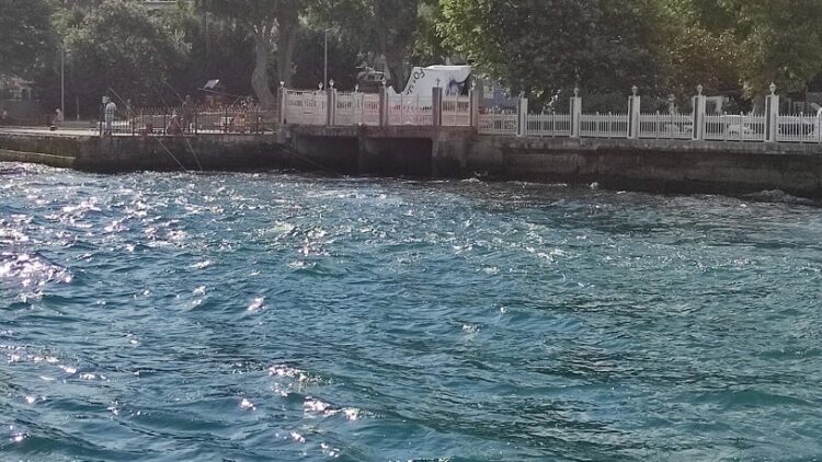 Bu kurban bayramında boğaz kırmızıya boyanmadı