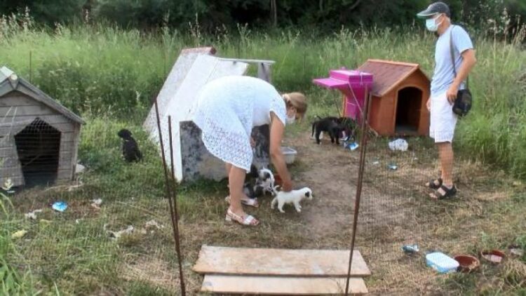 Yavru köpeği diri diri yaktılar