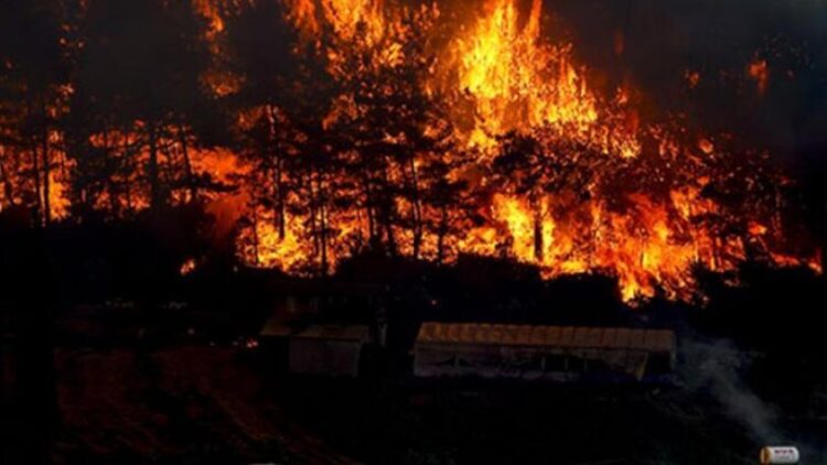 AFAD’dan orman yangınları hakkında açıklama