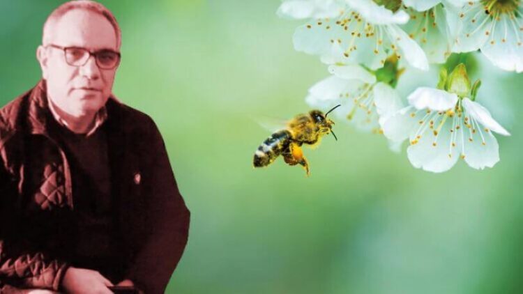 Tedaviyi ‘Arı’da buldu canından oldu