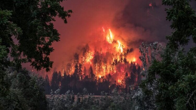 Uzmanlardan yangınların nasıl aynı anda başladığına dair 4 ayrı neden