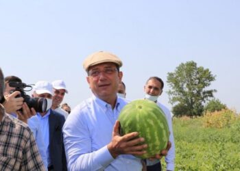 Kasketini taktı, yılın ilk hasadını çiftçilerle birlikte yaptı
