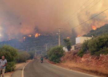Bodrum Belediye Başkanı Aras’tan vatandaşlara çağrı
