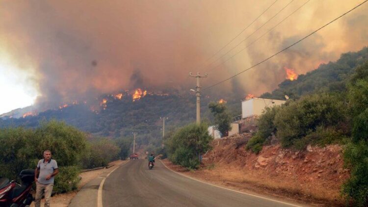 Bodrum Belediye Başkanı Aras’tan vatandaşlara çağrı