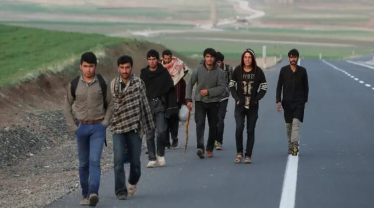 TİP: AK Parti mültecileri sermayenin istismarına sundu