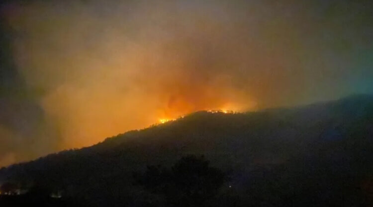 THK Heyet Başkanı Aşçı: Kurumun genel başkanı değilim, düğündeydim