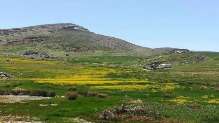 Sarıçiçek Yaylası’ndaki maden sondajına Danıştay engeli