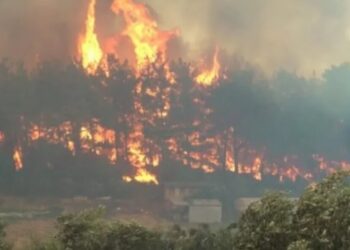 Manavgat’ta yangına müdahale eden iki işçi vefat etti