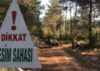 Akbelen Ormanı’nda kıyım başladı, köylüler nöbet tutuyor
