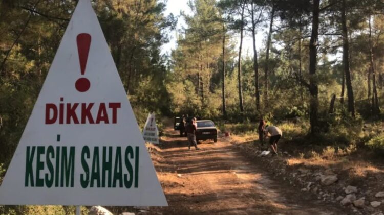 Akbelen Ormanı’nda kıyım başladı, köylüler nöbet tutuyor