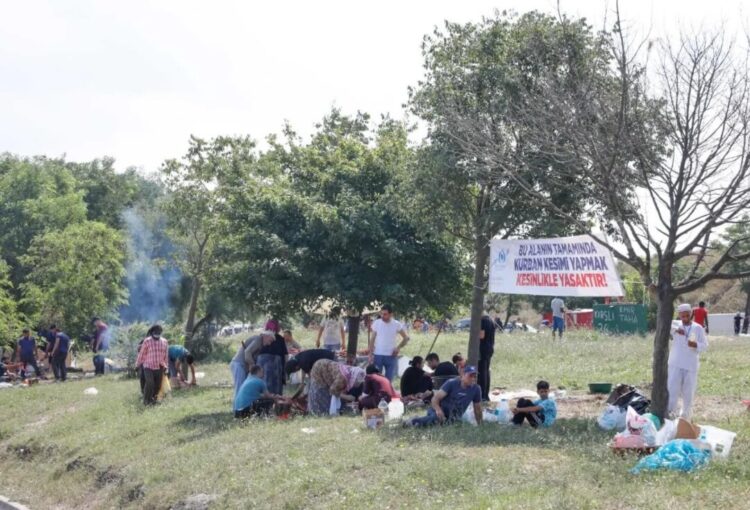 ‘Bu alanda kesim yasak’ afişinin altında kurban kestiler