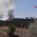 Atatürk Orman Çiftliği arazisinde yangın