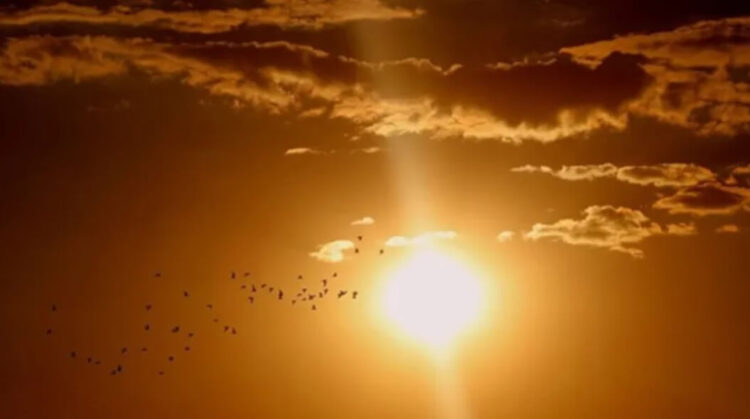 Ağustos ayının ilk iki haftasına dikkat! Sıcaklık dereceleri…