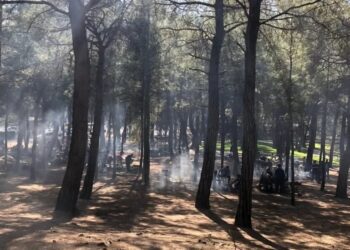 6 ilde ormanlara giriş yasaklandı