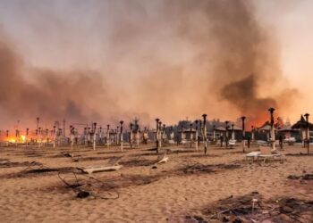 Sadece Türkiye değil: Akdeniz’de dört ülke yanıyor