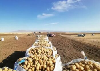 2 milyon çiftçinin, 52 bini organik tarım yapıyor