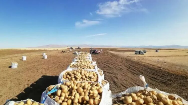 2 milyon çiftçinin, 52 bini organik tarım yapıyor