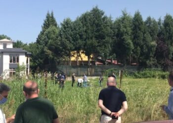 Köpeğin ağzında insan uzvu görünce polise haber verdi