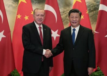 Cumhurbaşkanı Erdoğan Çin Devlet Başkanı ile görüştü