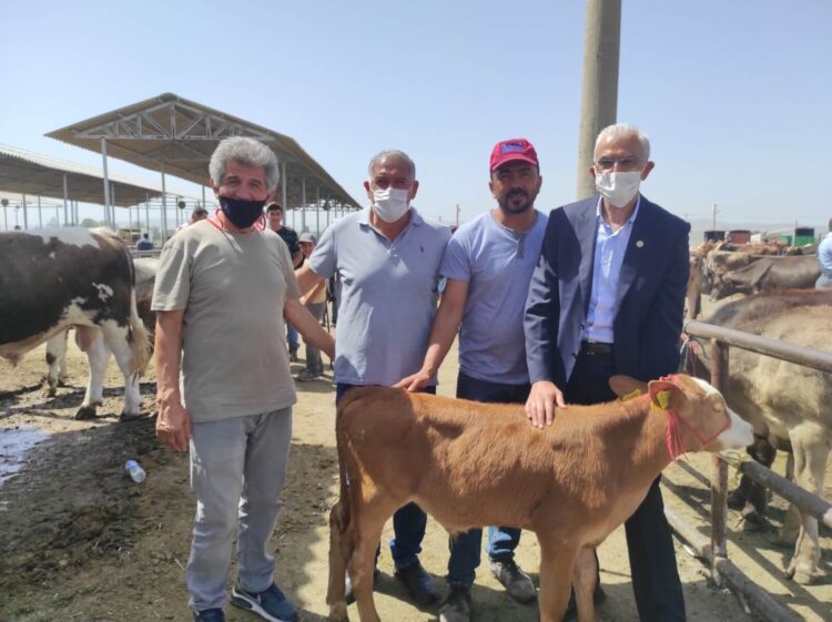 Kurban Bayramı öncesi besiciler dertli: “Maliyetine bile satış yapamıyoruz”