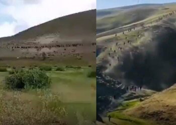 Taliban korkusuyla akın akın Türkiye’ye geliyorlar