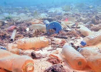 2050 yılında balıktan çok plastik olacak