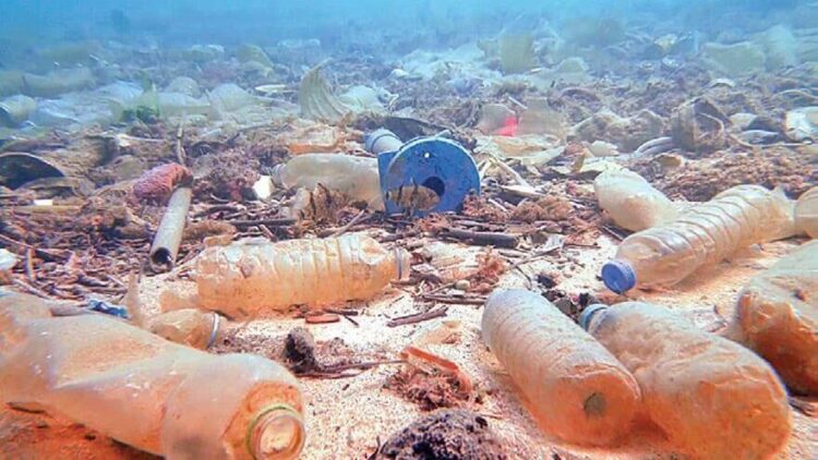 2050 yılında balıktan çok plastik olacak
