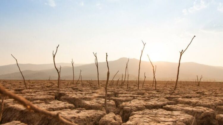 “Erkekler kadınlardan daha çok doğaya zarar veriyor”