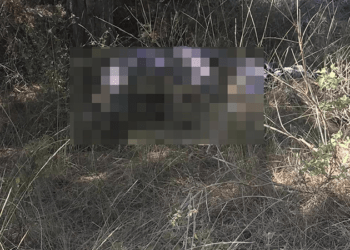 Aranan yaşlı adam ormanda ölü bulundu