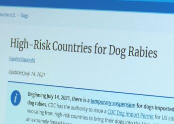 ABD’den Türkiye’ye “kuduz riski” kısıtlaması