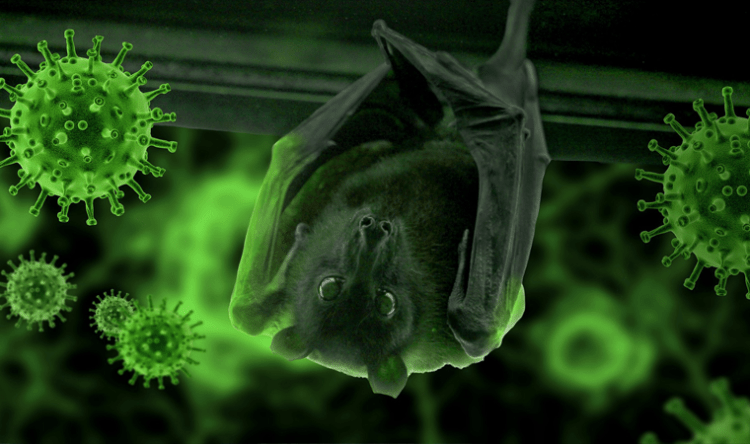 Birleşik Krallık’ta yeni bir koronavirüs türü keşfedildi