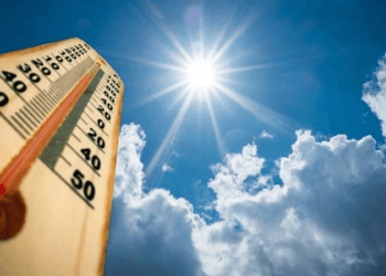 Bilim insanları uyardı: Ölümcül sıcaklar 7 kat artacak