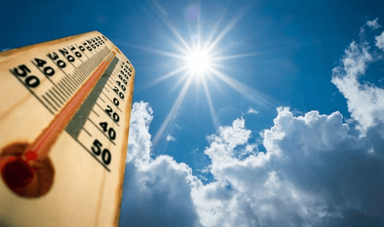 Bilim insanları uyardı: Ölümcül sıcaklar 7 kat artacak