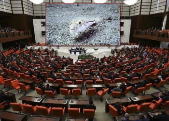 Balon balıkları Meclis gündeminde