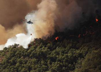 Marmaris’teki orman yangınının nedeni belli oldu