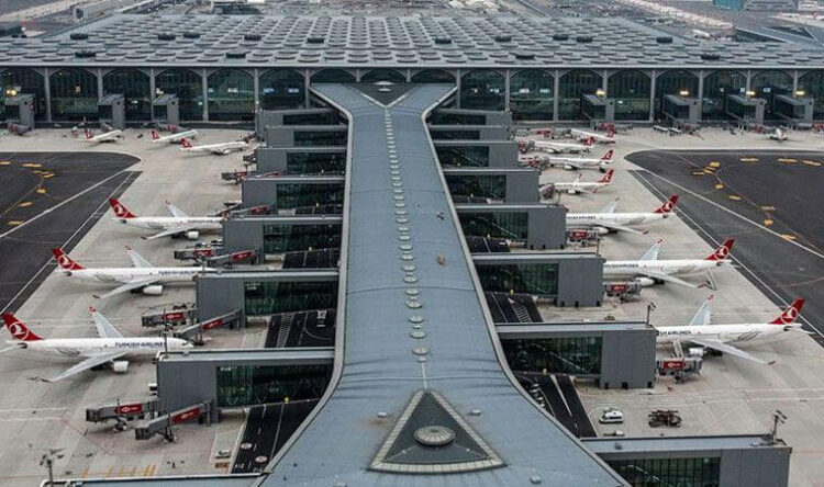 İstanbul Havalimanı’nı çekirgeler bastı