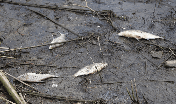Alibeyköy’deki ölümler tedirgin etmişti; harekete geçildi