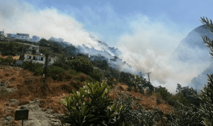 Yangınlarda son durum…